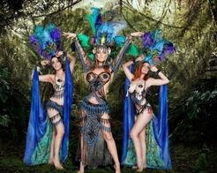 舞娘图片,揭秘舞娘的舞台风采