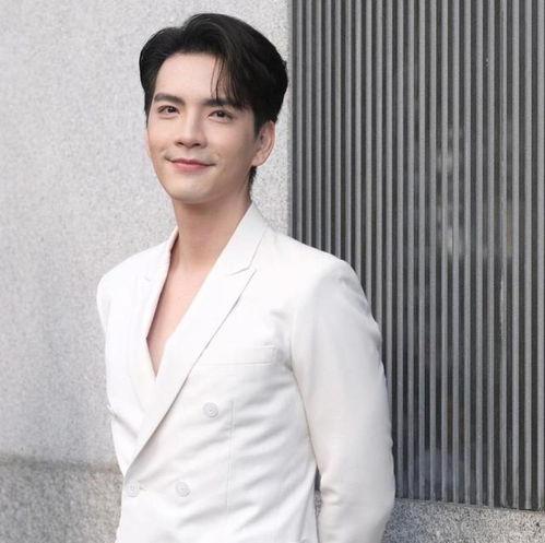 泰星new的资料,闪耀星途，魅力四溢的璀璨新星