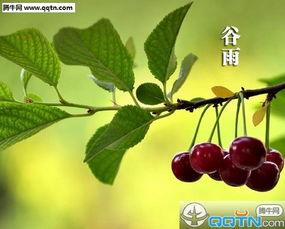 古雨图片,一幅水墨画卷中的诗意时光