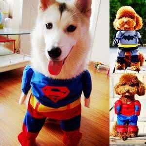 搞笑狗服装,搞笑狗服装大集合，笑点满满，萌态十足！