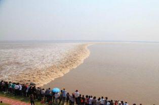 观潮的资料和图片