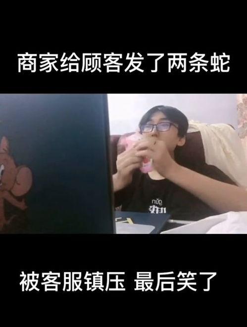 客服电话搞笑视频